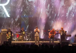 Fury in the Slaughterhouse